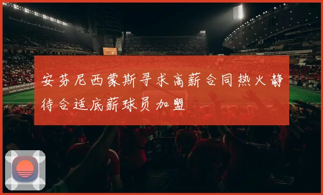安芬尼西蒙斯寻求高薪合同热火静待合适底薪球员加盟
