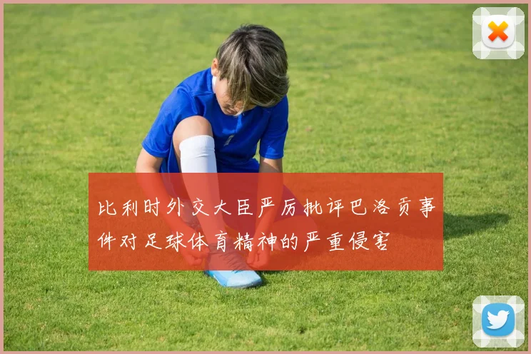 比利时外交大臣严厉批评巴洛贡事件对足球体育精神的严重侵害