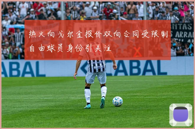 热火向戈尔金报价双向合同受限制自由球员身份引关注